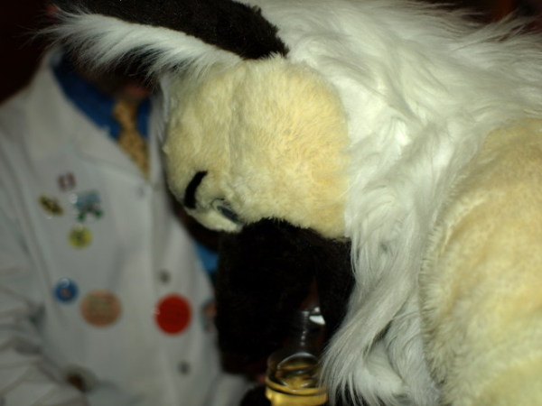 Canid attempting to drink from the bottle?
