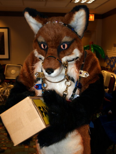 Fay Fox taking the parcel