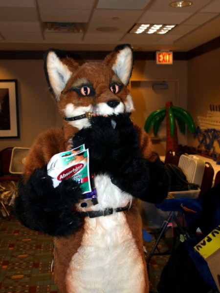 Fay holding absorbine pads and trying to chomp a (plush) fish