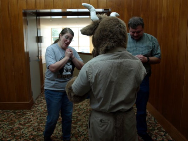 someone looks at the cow tales appreciatively
