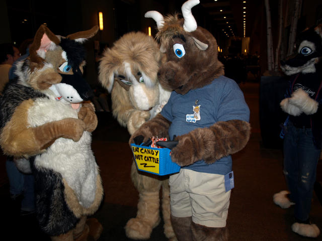 Two furs looking at the candy.